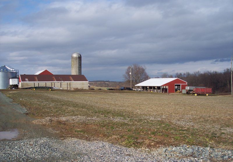 McElwain-02.jpg